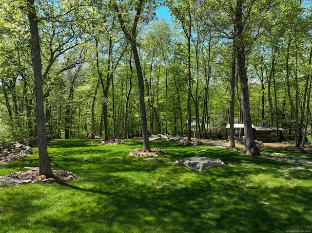 view of green lawn