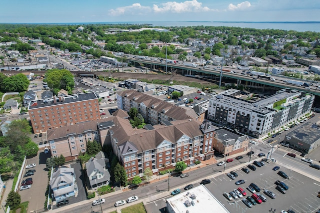drone / aerial view
