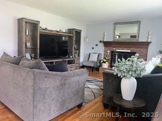 65 Dale Rd, Wethersfield, CT 06109 - living room featuring a fireplace and wood finished floors