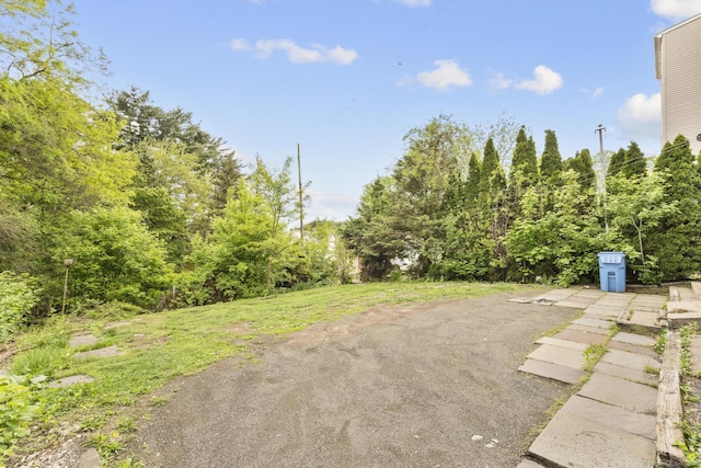29 Cabot St, New Britain, CT 06053 - view of yard