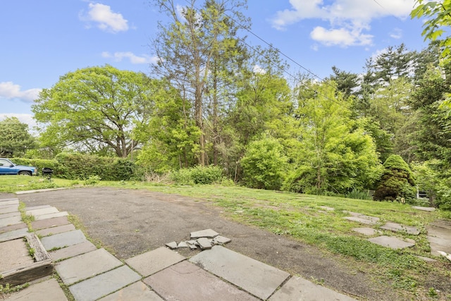 29 Cabot St, New Britain, CT 06053 - view of yard