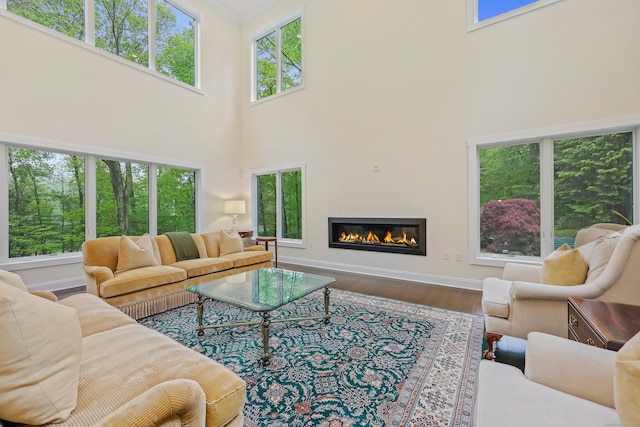 43 Hunting Ridge Rd, Greenwich, CT 06831 - living room with a high ceiling, baseboards, wood finished floors, and a glass covered fireplace