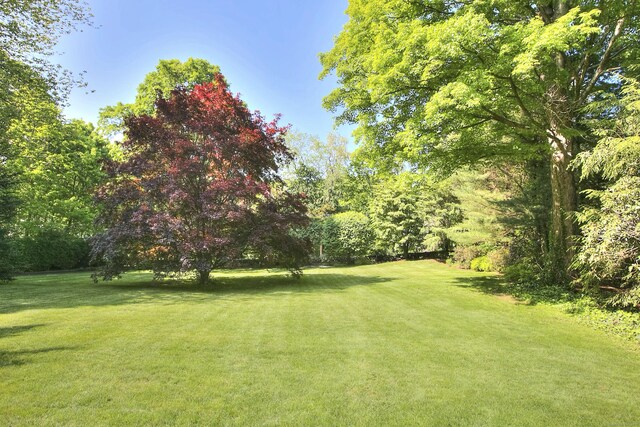 81 Grumman Hill Rd, Wilton, CT 06897 - view of grassy yard