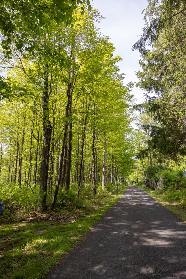 70 Wakeman Hill Rd, Sherman, CT 06784 - view of road