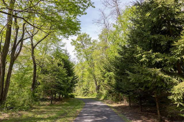 70 Wakeman Hill Rd, Sherman, CT 06784 - view of road featuring a forest view