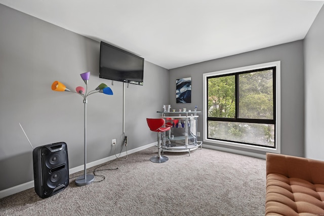 47 Currier Pl Unit 47, Cheshire, CT 06410 - rec room with carpet and baseboards