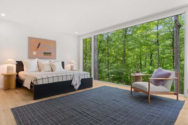 19 Old Paddock Ln, Kent, CT 06785 - bedroom with multiple windows, recessed lighting, and light wood-style floors