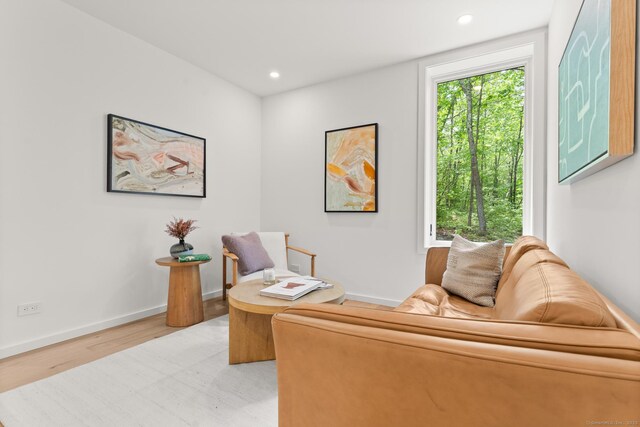 19 Old Paddock Ln, Kent, CT 06785 - home office with wood finished floors, recessed lighting, and baseboards