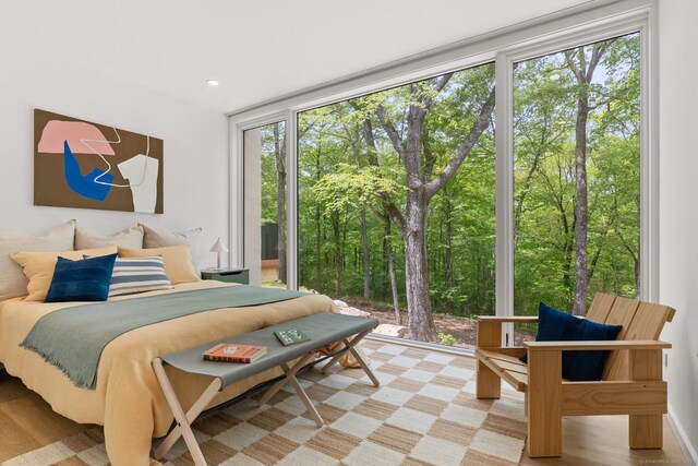 19 Old Paddock Ln, Kent, CT 06785 - bedroom with light wood-style flooring, recessed lighting, and expansive windows