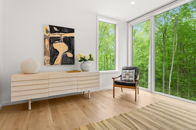 19 Old Paddock Ln, Kent, CT 06785 - sitting room with plenty of natural light, wood finished floors, baseboards, and recessed lighting