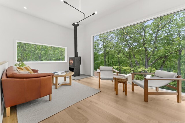 19 Old Paddock Ln, Kent, CT 06785 - living room with a wood stove, light wood-style floors, and plenty of natural light