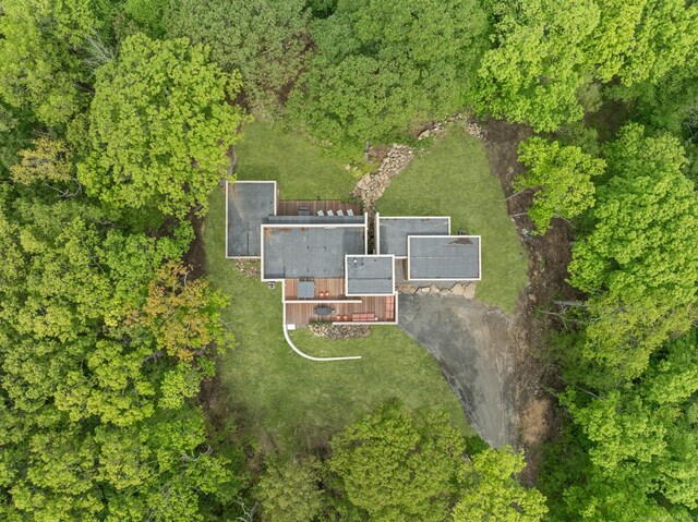 19 Old Paddock Ln, Kent, CT 06785 - view from above of property