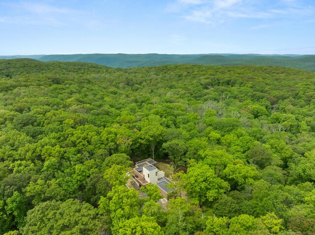 19 Old Paddock Ln, Kent, CT 06785 - bird's eye view of a heavily wooded area
