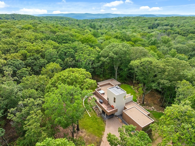 19 Old Paddock Ln, Kent, CT 06785 - photo 19