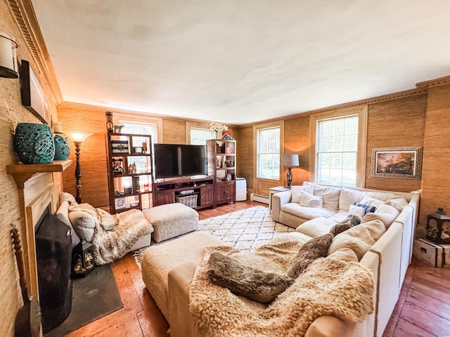 101 Child Hill Rd, Woodstock, CT 06281 - living area with light wood-type flooring, wooden walls, a fireplace, and a baseboard radiator