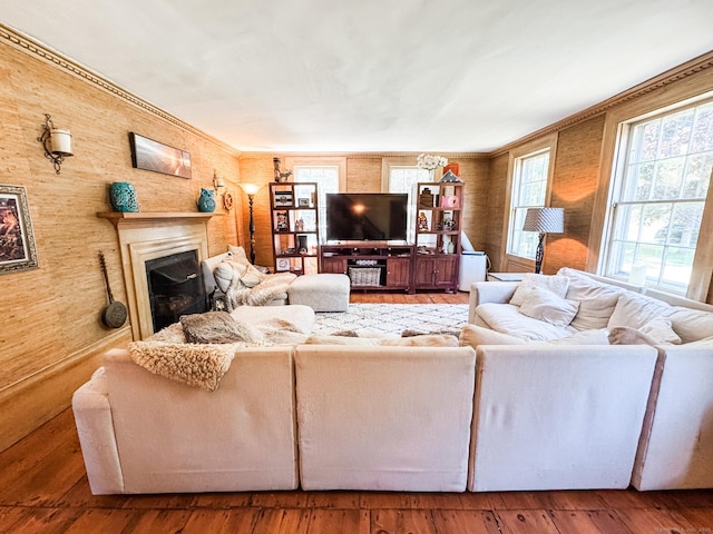 101 Child Hill Rd, Woodstock, CT 06281 - living area with a fireplace and hardwood / wood-style floors