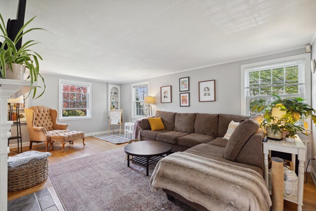 101 White Ave, West Hartford, CT 06119 - living area with plenty of natural light, crown molding, built in shelves, and wood finished floors