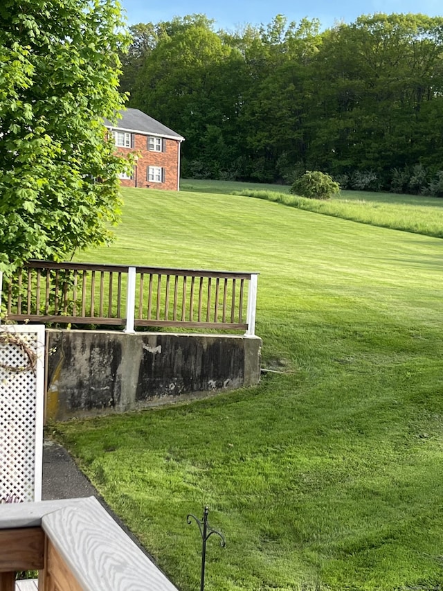 view of green lawn