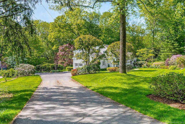 surrounding community featuring asphalt driveway and a yard