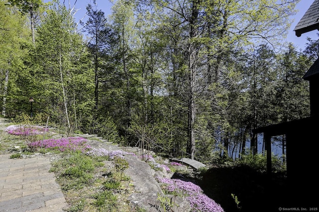 view of wooded area
