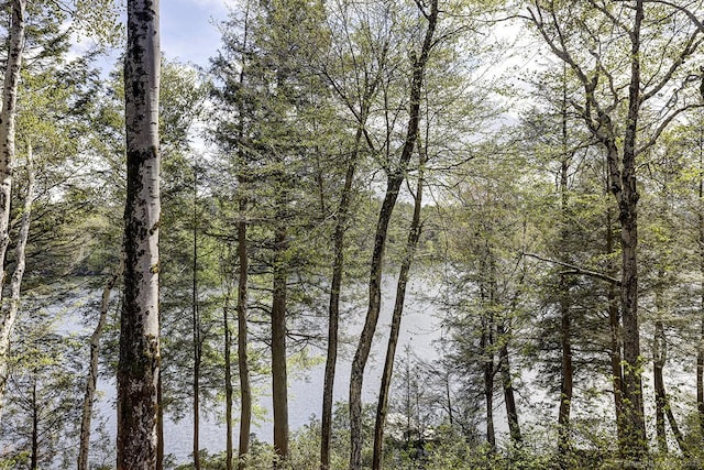 water view with a heavily wooded area