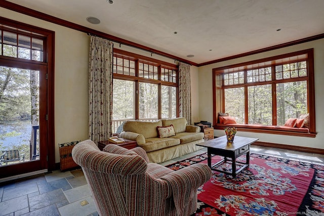 living area featuring ornamental molding, healthy amount of natural light, baseboards, and stone tile flooring