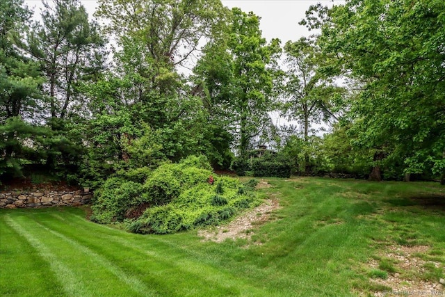view of grassy yard