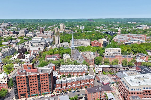 42 Temple Ct Unit 42, New Haven, CT 06511 - view of urban area