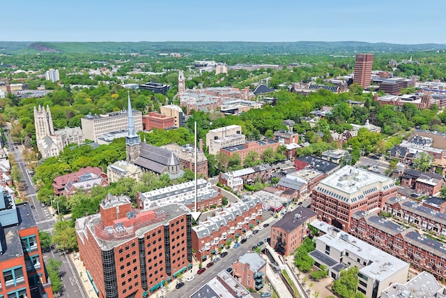 42 Temple Ct Unit 42, New Haven, CT 06511 - view of urban area