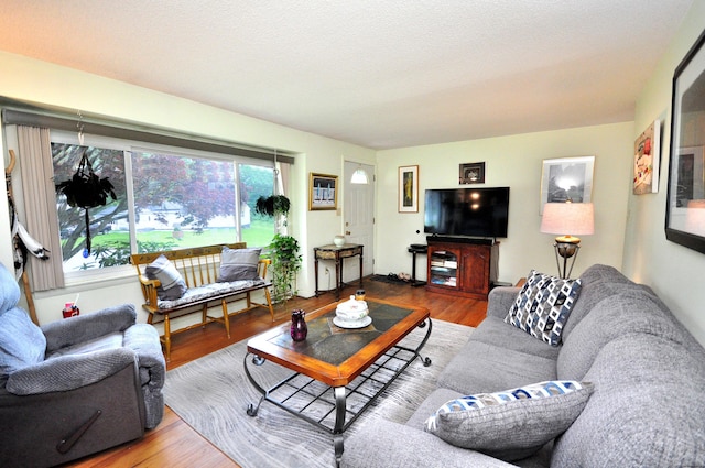3 Mountain View Dr, Rocky Hill, CT 06067 - living area featuring wood finished floors