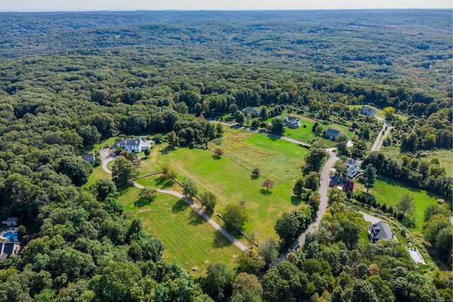 49 Great Ring Rd, Newtown, CT 06482 - aerial view of a forest