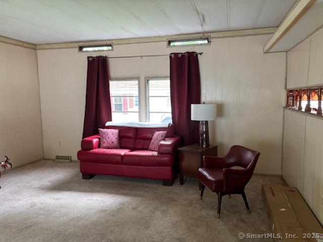 28 Fairway Dr, Windham, CT 06256 - photo 8