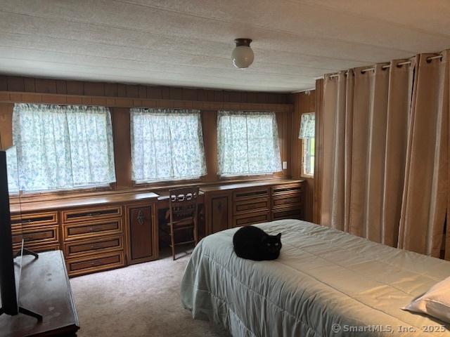 28 Fairway Dr, Windham, CT 06256 - photo 19