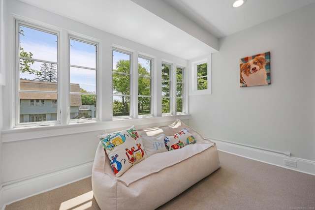 living area with carpet floors, baseboards, and recessed lighting