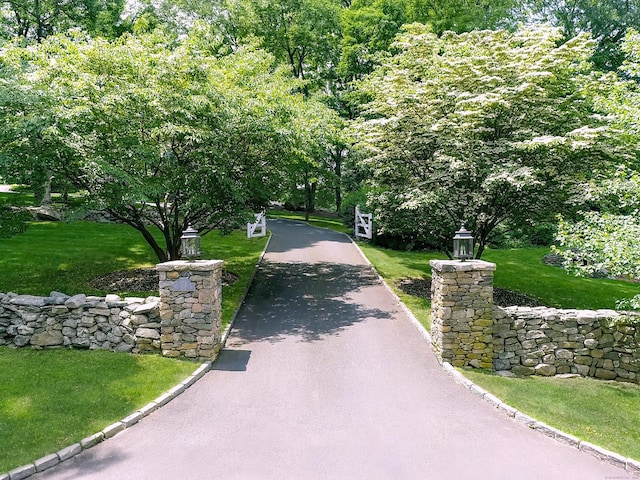 379 Hurlbutt St, Wilton, CT 06897 - view of home's community with driveway and a yard