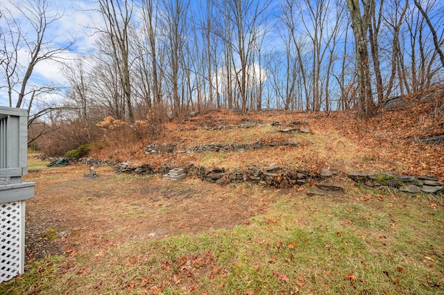 20 Rosengarten Dr, Waterbury, CT 06704 - view of yard