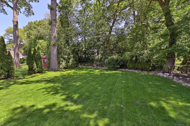 23 Poplar St, Norwalk, CT 06855 - view of grassy yard