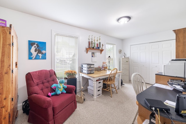 191 Pond View Dr, Watertown, CT 06795 - office area with carpet