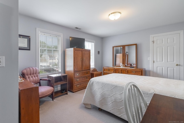 191 Pond View Dr, Watertown, CT 06795 - bedroom featuring multiple windows and light carpet