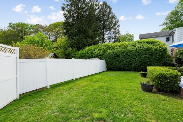 94 Mulberry St, Stamford, CT 06907 - view of yard