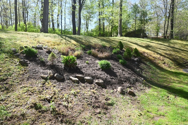 27 Regency Dr, North Haven, CT 06473 - view of undeveloped land
