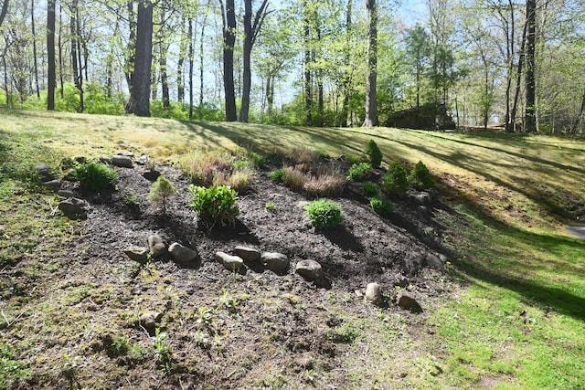 27 Regency Dr, North Haven, CT 06473 - view of undeveloped land