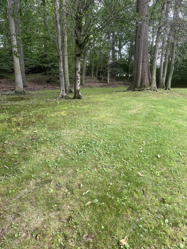 27 Regency Dr, North Haven, CT 06473 - view of green lawn