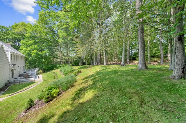 27 Regency Dr, North Haven, CT 06473 - view of yard