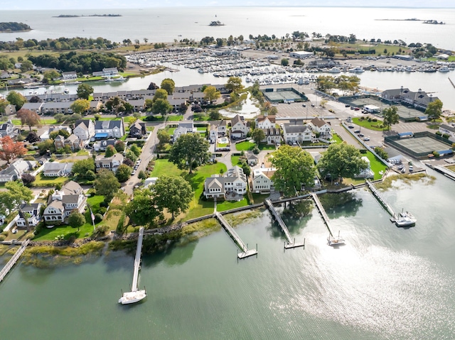aerial view of residential area with a large body of water and a marina