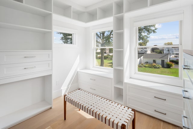 interior space with wood finished floors