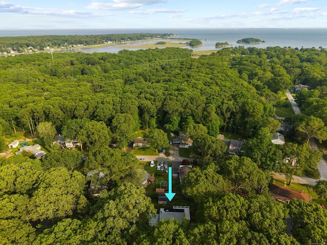11 Osprey Ln, East Lyme, CT 06357 - aerial view of property and surrounding area featuring a heavily wooded area and a nearby body of water