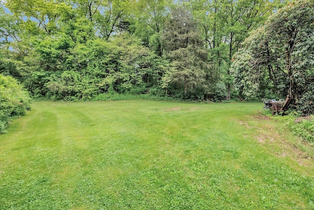 view of grassy yard