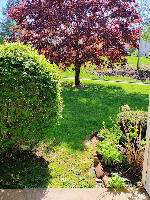 view of grassy yard