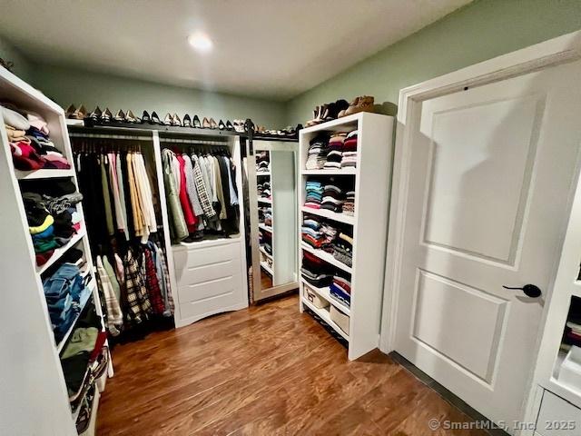 spacious closet featuring wood finished floors